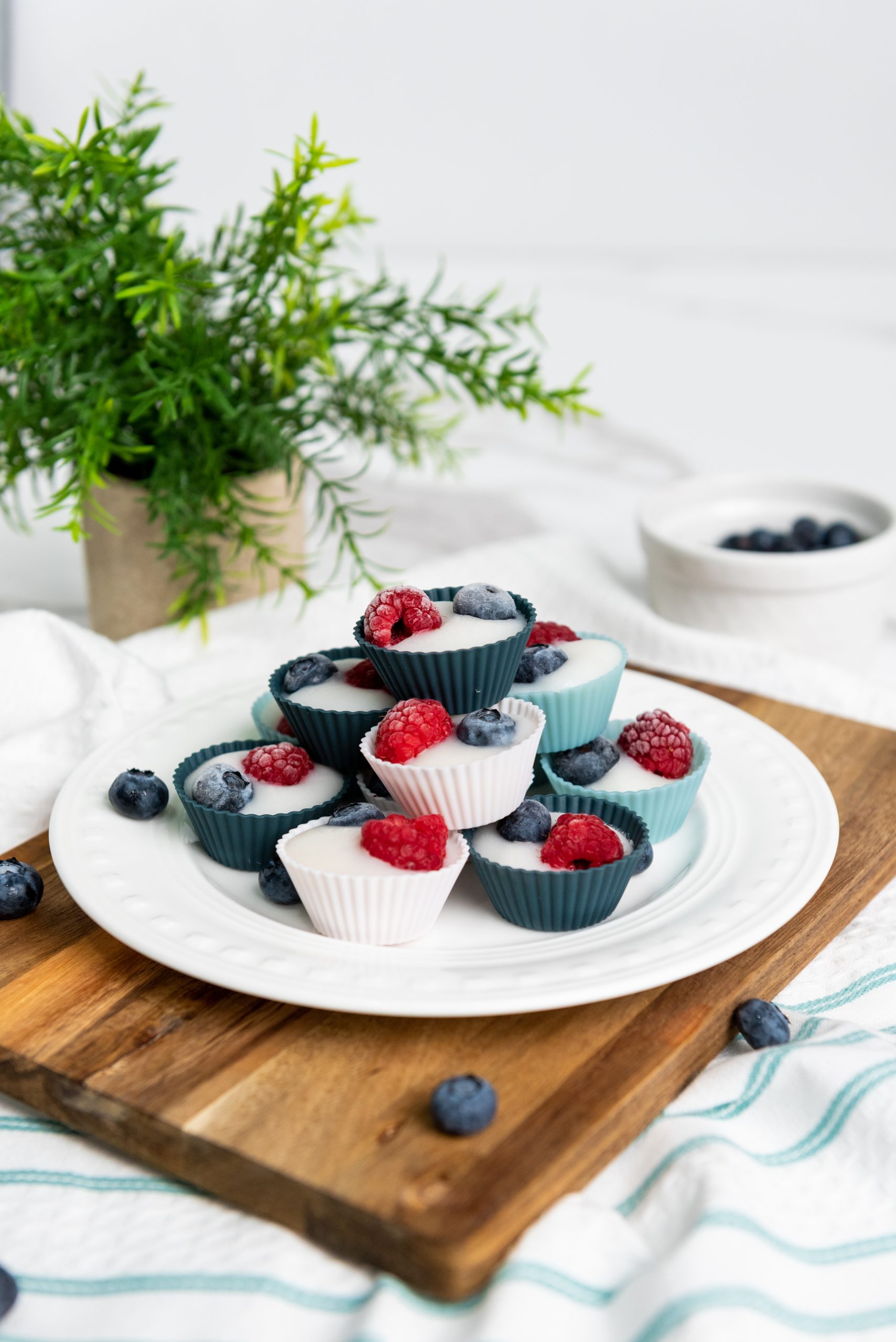 Vegan Frozen Yogurt Low Point Recipes