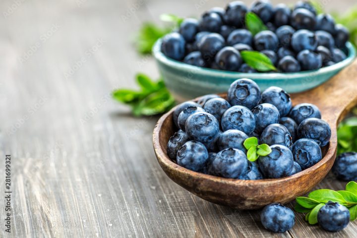 Fresh blueberries background with copy space for your text. Blueberry antioxidant organic superfood in a bowl concept for healthy eating and nutrition
